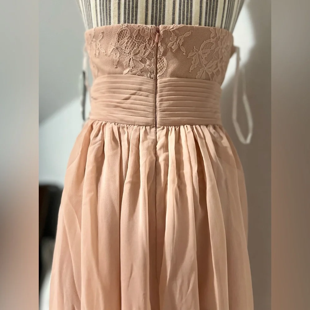 Sonsiya Blush Pink Lace Chiffon Maxi Dress Size 12 Formal Gown NWT - Picture 11 of 12